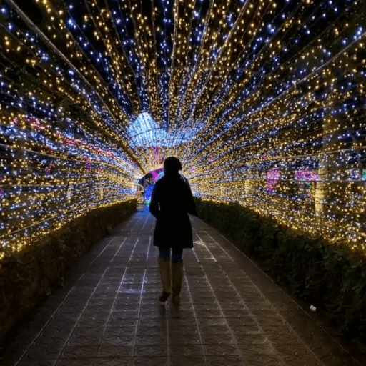 Festive Lights Trail Hire