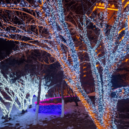 Xmas illumination Trail Hire